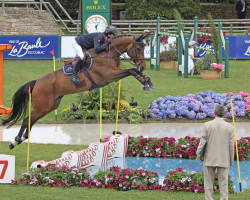 Springpferd Bary Louvo (Selle Français, 2011, von Toro Louvo)