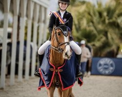 jumper Isaac (KWPN (Royal Dutch Sporthorse), 2013, from Napels)