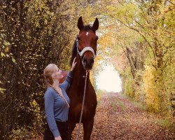 jumper Corin AM (German Sport Horse, 2010, from Colestus)