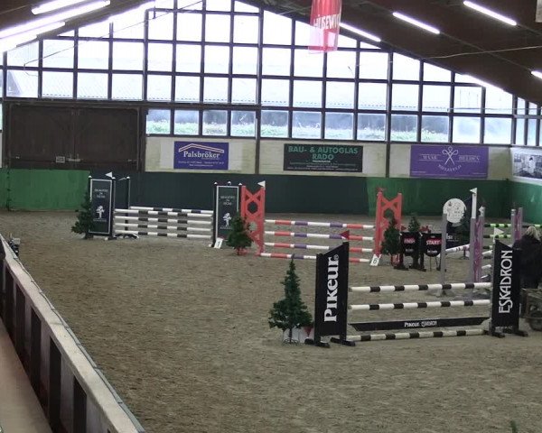 Reitturnier Jöllenbeck-Reitanlage Sonntag 2023