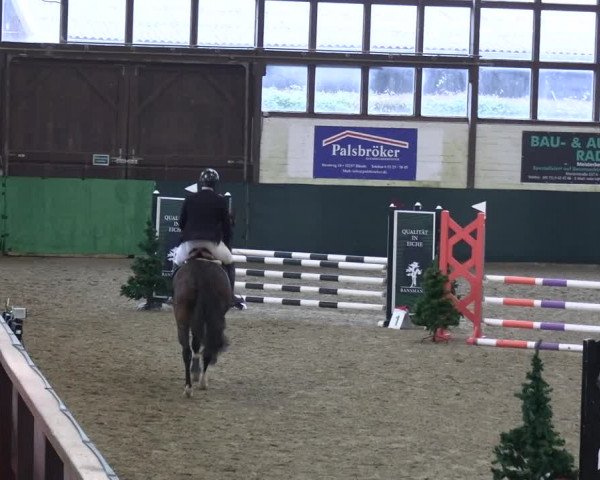Reitturnier Jöllenbeck-Reitanlage Sonntag 2023