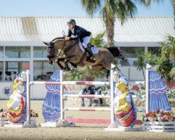 Springpferd Korlenski (Zangersheide Reitpferd, 2015, von Cornet Obolensky)