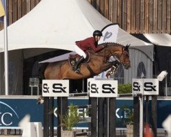 jumper Conshira Blue PS (Oldenburg show jumper, 2013, from Conthargos)