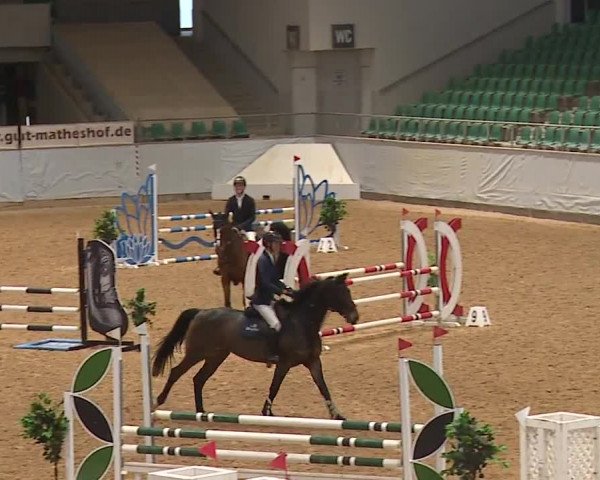 Reitturnier Kreuth/Opf. 2023