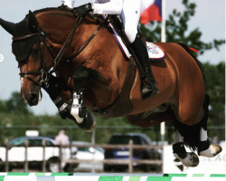 jumper Quainton X-Rated (anglo european sporthorse, 2016, from Big Star)