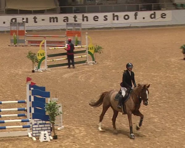 Reitturnier Kreuth/Opf. 2023