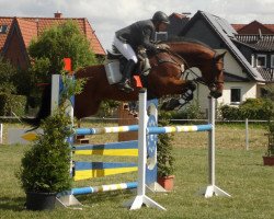 jumper Quickfit TW (Hanoverian, 2008, from Quality 9)