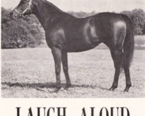 stallion Laugh Aloud xx (Thoroughbred, 1961, from Tom Fool xx)