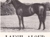 stallion Laugh Aloud xx (Thoroughbred, 1961, from Tom Fool xx)
