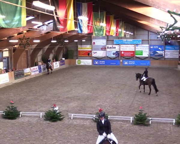Reitturnier Leck 2023