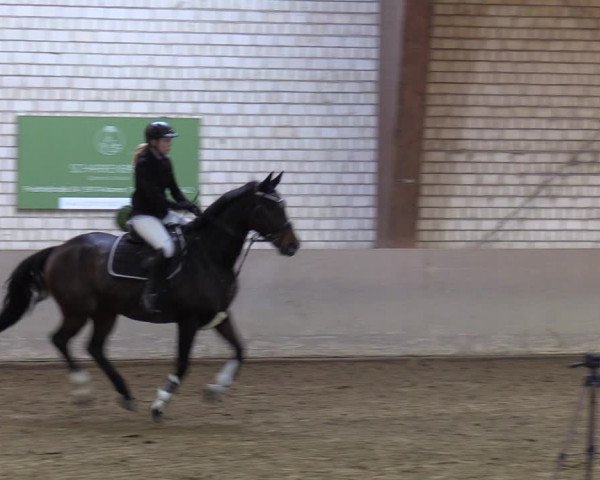 Reitturnier Kamen 2023