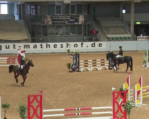 Reitturnier Kreuth/Opf. 2023