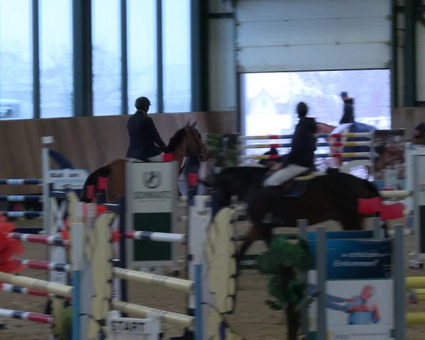 Reitturnier Zwickau 2023