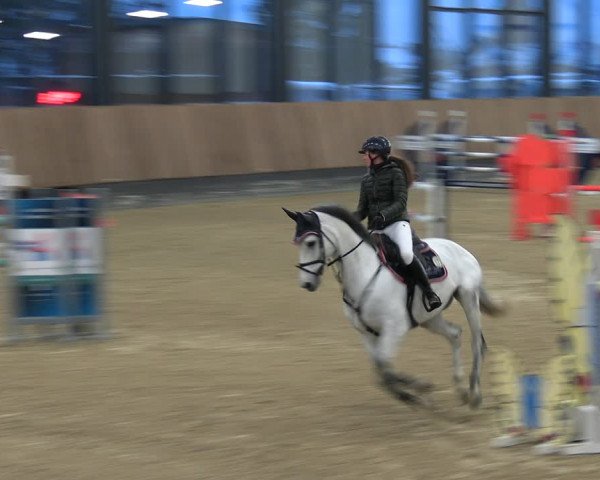 Reitturnier Zwickau 2023