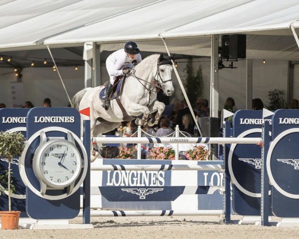 jumper Coup de Coeur (Oldenburg show jumper, 2006, from Coupe de Coeur 2)