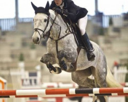 jumper Gitana van het Molenhof (Belgian Warmblood, 2006, from Heartbreaker)