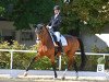 dressage horse Bella Italia (Hanoverian, 2016, from Buckingham)