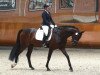 broodmare K.C. Dalida (Hanoverian, 2017, from Diamond Hit)