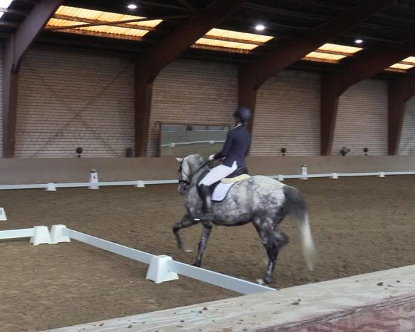 Reitturnier Kamen 2023