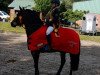 jumper Dalhia (Belgian Riding Pony, 2011)