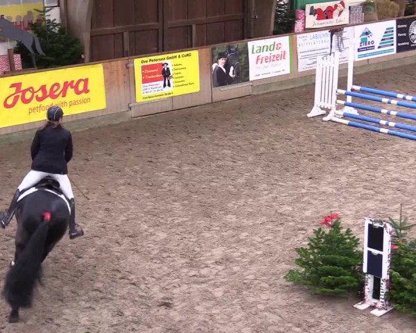 Reitturnier Leck 2023
