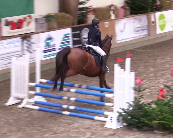 Reitturnier Leck 2023