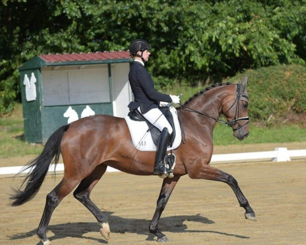 broodmare Biscaya A (Oldenburg, 2017, from Bordeaux 28)