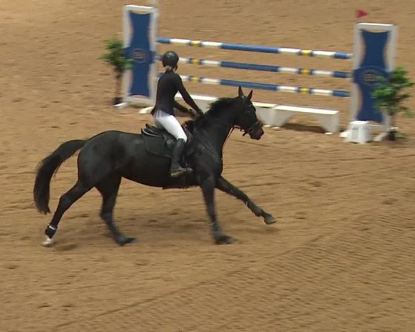 Reitturnier Kreuth/Opf. 2023