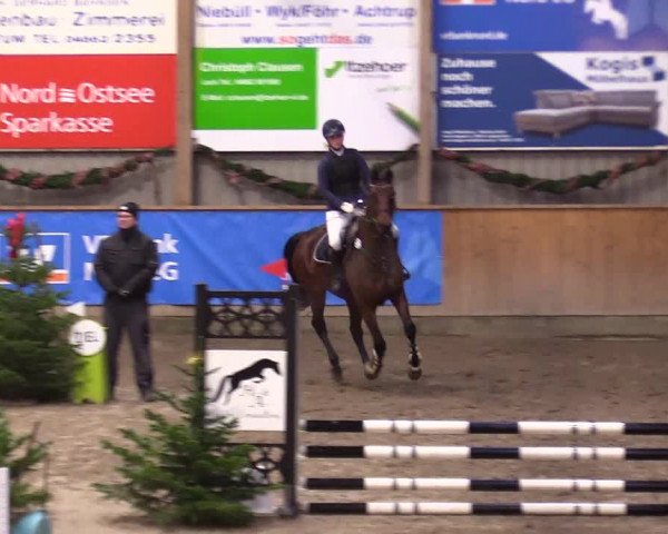 Reitturnier Leck 2023