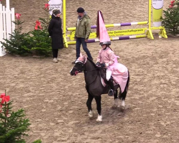 Reitturnier Leck 2023