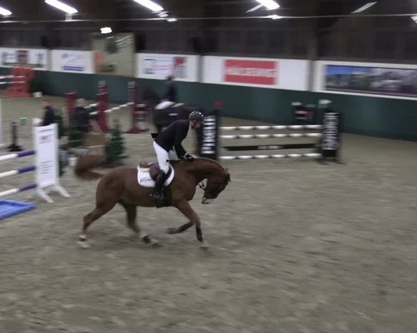 Reitturnier Jöllenbeck-Reitanlage Sonntag 2023