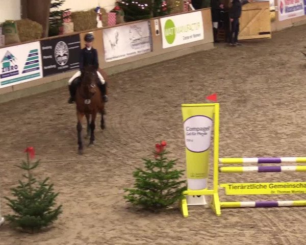 Reitturnier Leck 2023