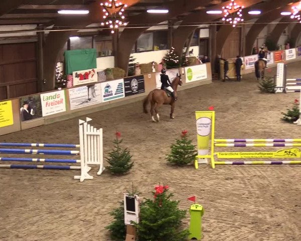 Reitturnier Leck 2023