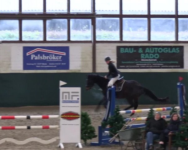 Reitturnier Jöllenbeck-Reitanlage Sonntag 2023