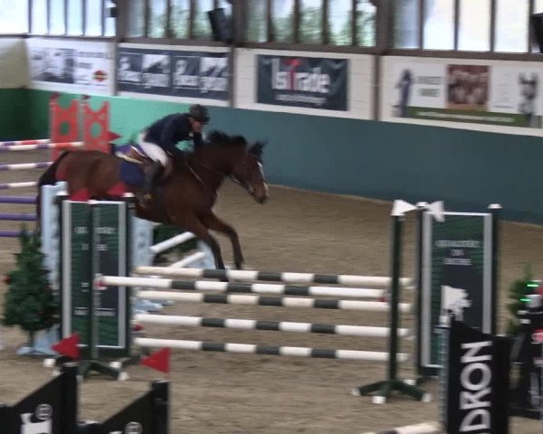 Reitturnier Jöllenbeck-Reitanlage Sonntag 2023