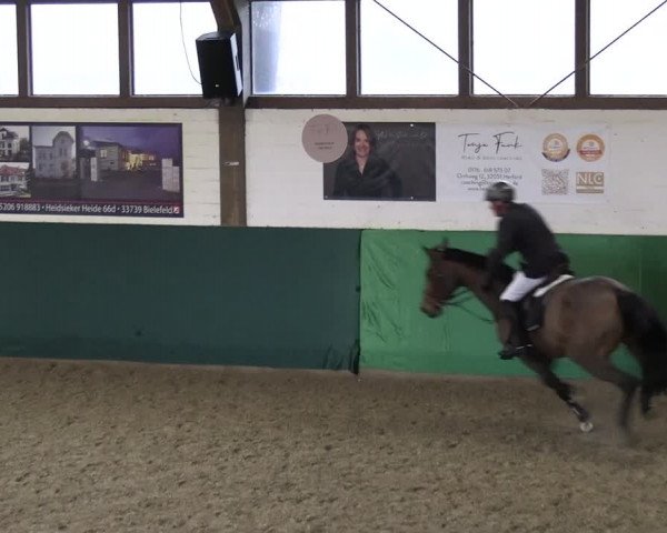 Reitturnier Jöllenbeck-Reitanlage Sonntag 2023