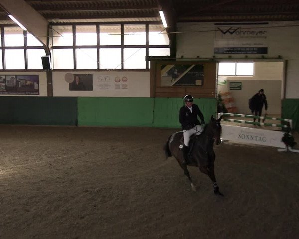 Reitturnier Jöllenbeck-Reitanlage Sonntag 2023
