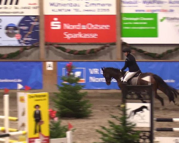 Reitturnier Leck 2023