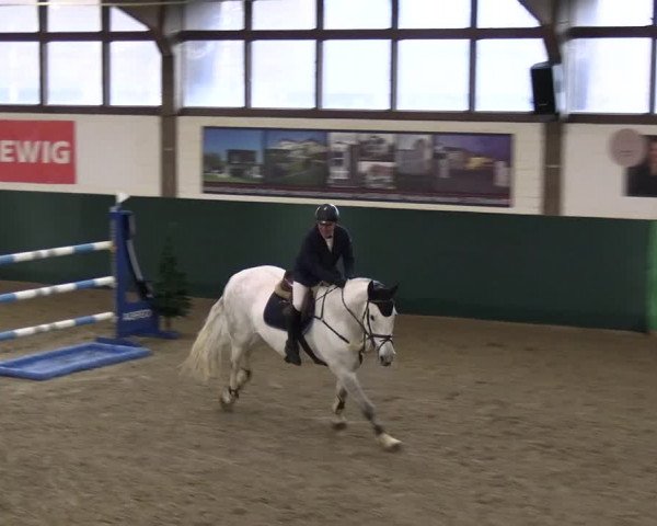 Reitturnier Jöllenbeck-Reitanlage Sonntag 2023