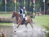 eventing horse Spotify 10 (Hanoverian, 2018, from Secret)