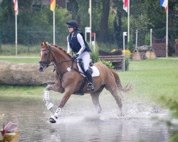 eventing horse Spotify 10 (Hanoverian, 2018, from Secret)