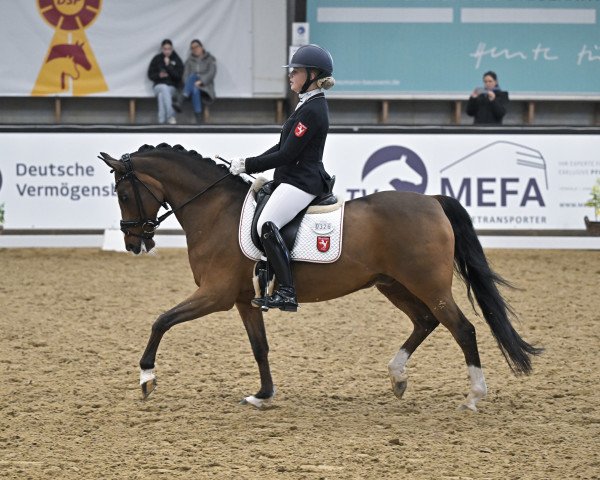dressage horse Top Niklas (German Riding Pony, 2004, from Top Nonstop)