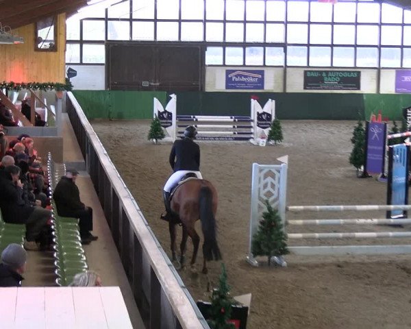 Reitturnier Jöllenbeck-Reitanlage Sonntag 2023