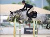 jumper Zuccera Von Worrenberg (Oldenburg show jumper, 2017, from Zuccero Hv)