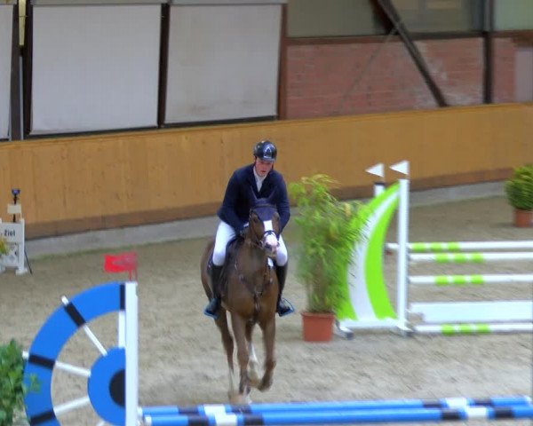 Reitturnier Hamburg-Friedrichshulde/Sylva Kuhrt 2023