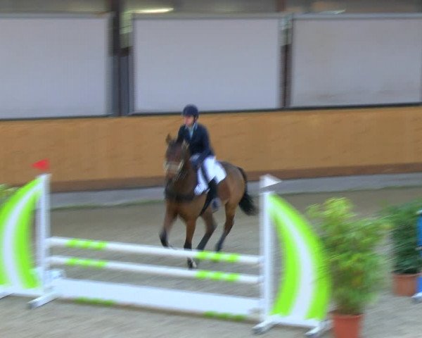 Reitturnier Hamburg-Friedrichshulde/Sylva Kuhrt 2023