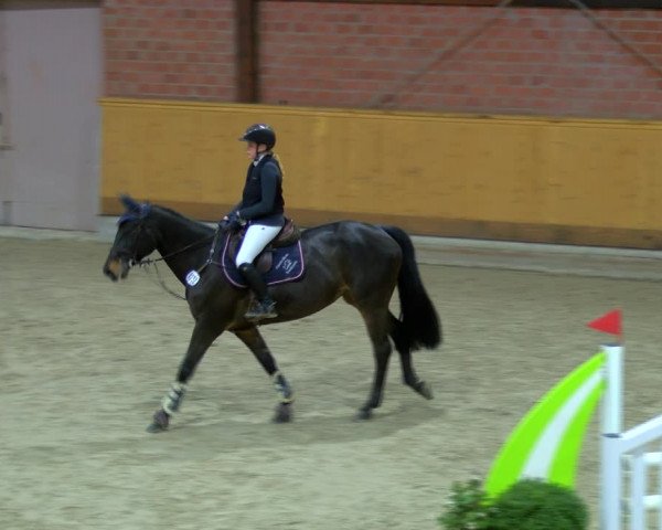 Reitturnier Hamburg-Friedrichshulde/Sylva Kuhrt 2023