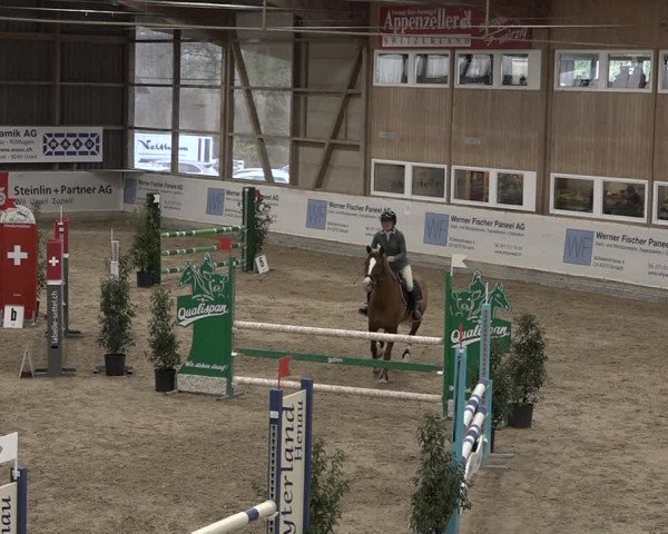 Reitturnier Henau 2023