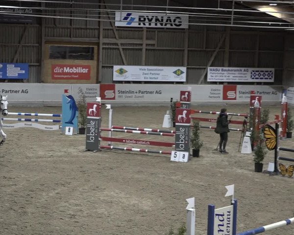 Reitturnier Henau 2023
