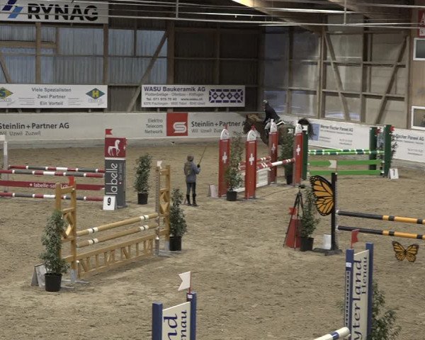 Reitturnier Henau 2023